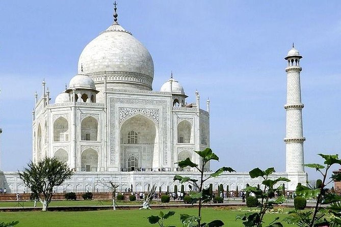 From Delhi : Delhi private Day Tour - Chandni Chowk adds food, shops, and street life