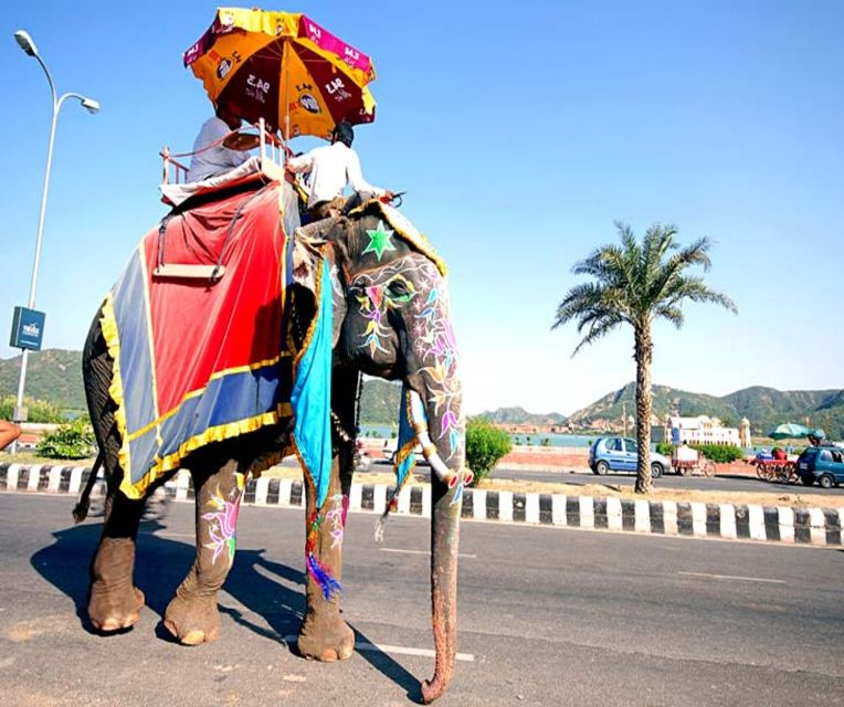 From Delhi: Private 2-Day Golden Triangle Agra & Jaipur Tour - Jal Mahal and the view across Man Sagar Lake