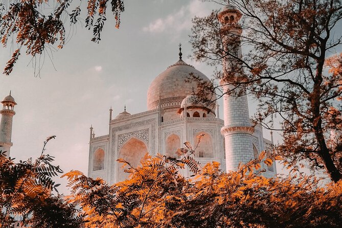 From Delhi : Private Day Trip to Taj Mahal & Agra Fort by Car - All Inclusive - What the private format really gives you