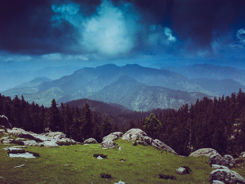 From Delhi: Private Rishikesh and Haridwar Day Tour by Car - What the Private Price Really Buys You