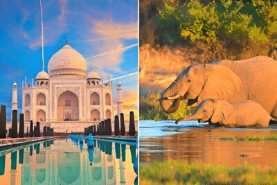 Sunrise Taj Mahal and Elephant Conservation Tour