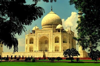 Taj Mahal And Agra Tour with Elephant wildlife sos