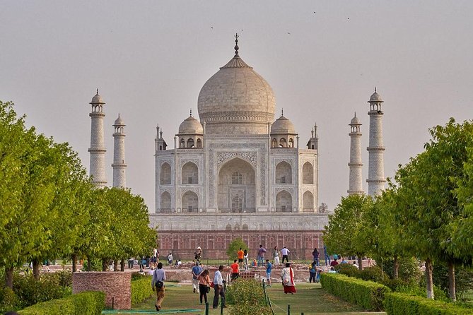 From Delhi: Taj Mahal & SOS Elephant Experience – Day Trip - What the praise tells you about the service
