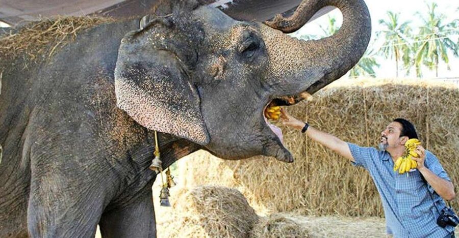 From Delhi: Taj Mahal Sunrise and Elephant Wildlife SOS Tour - Why the 3:00 AM departure is worth considering