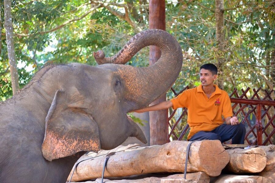From Delhi: Taj Mahal Sunrise and Elephant Wildlife SOS Tour - Agra Fort and the Mughal story