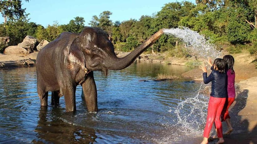 From Delhi: Taj Mahal Sunrise Tour w/ Elephant Conservation - Lunch and the break between major sights