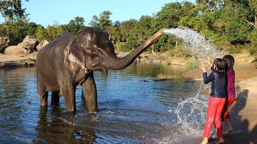 From Delhi: Taj Mahal Sunrise Tour w/ Elephant Conservation - Is $32 good value?