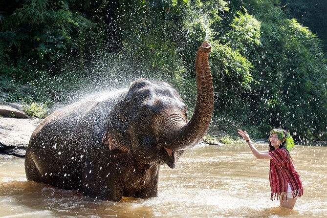 From Delhi:Taj Mahal Sunrise Tour with Elephant SOS Center - Who should choose this Taj Mahal day trip?