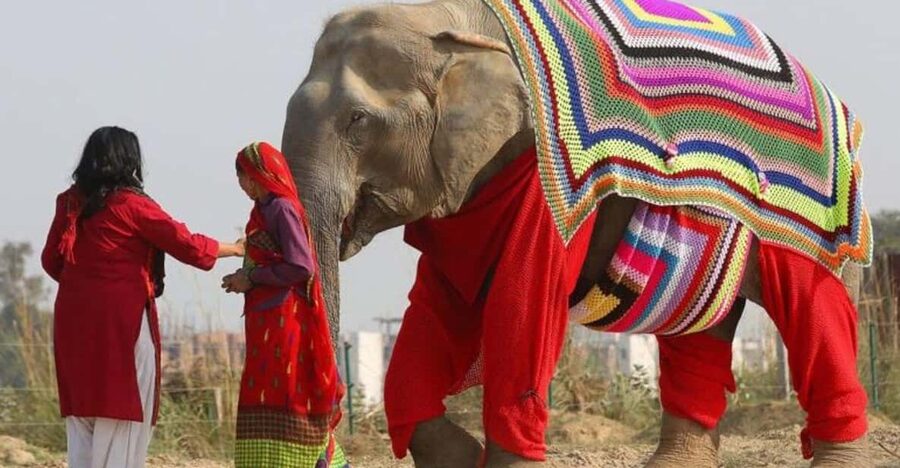 From Delhi: Taj Mahal with Photographer & Elephant SOS Tour - Entering the Taj Mahal with a private photographer