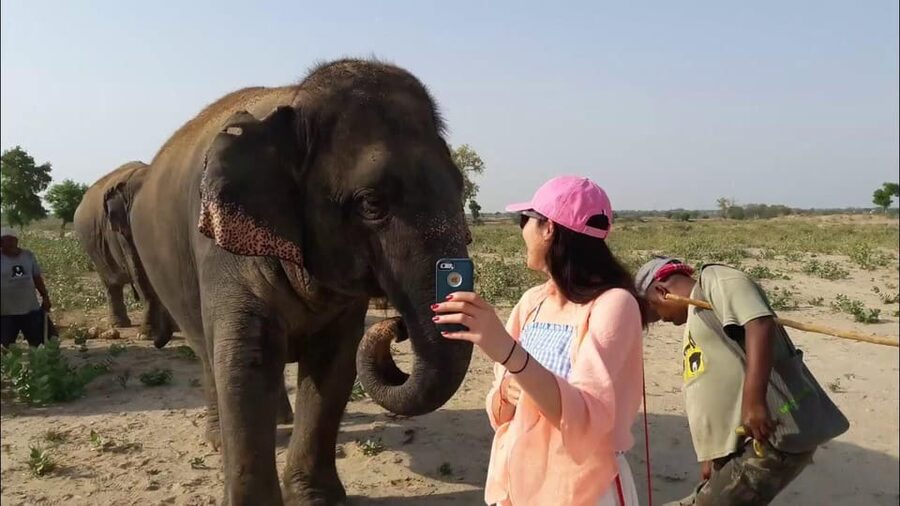 From Delhi: Taj Mahal with Photographer & Elephant SOS Tour - What the private car changes