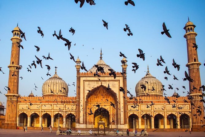 Full day Delhi tour with a Local - Private Delhi Day Tour - Meeting at Jama Masjid Metro Station Gate No. 3