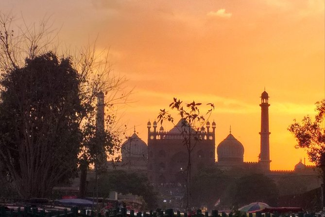 Full Day Old & New Delhi City Tour - Raj Ghat brings the day back to modern India