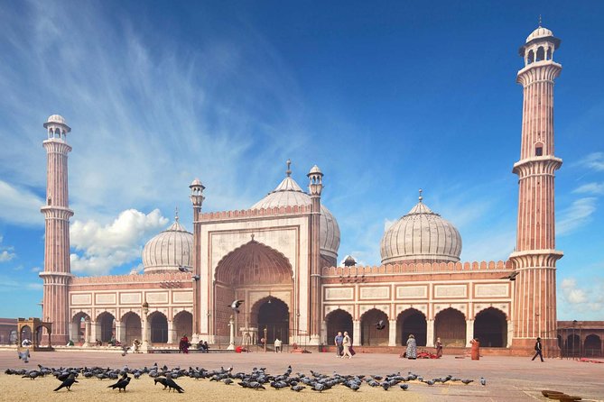 Full Day Private Custom Tour of New Delhi - Why a private Delhi day can work so well