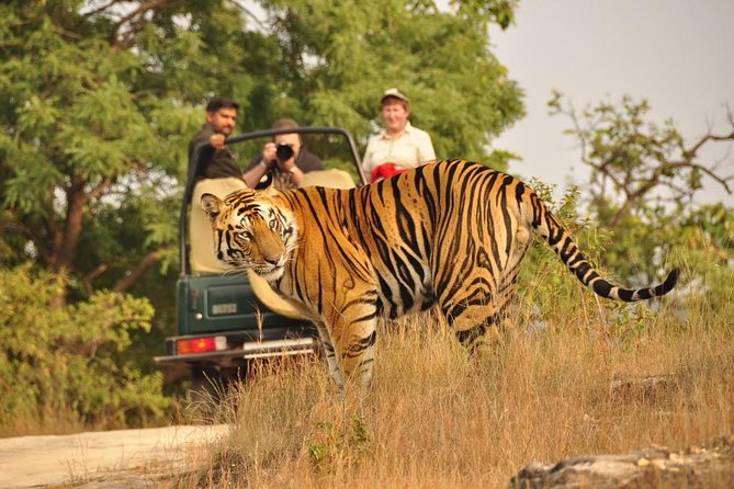Golden Triangle with Wildlife and Royal Castle Stay - Day 4: Jaipur’s temple and Albert Hall