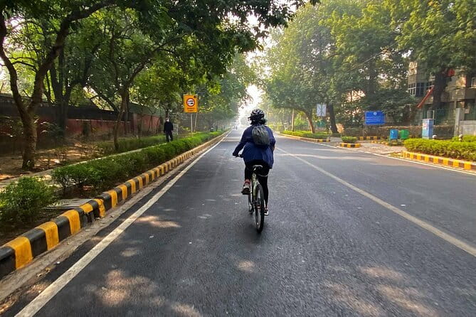 Half-Day Premium Delhi Heritage Cycling Tour - An Illustrious Tryst with time - Lodhi Art District: Delhi’s walls become a gallery