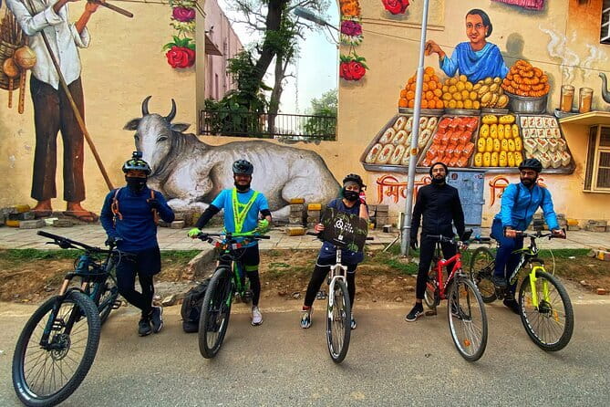 Half-Day Premium Delhi Heritage Cycling Tour - An Illustrious Tryst with time - Amrita Sher-Gil Lane and the city behind the gates