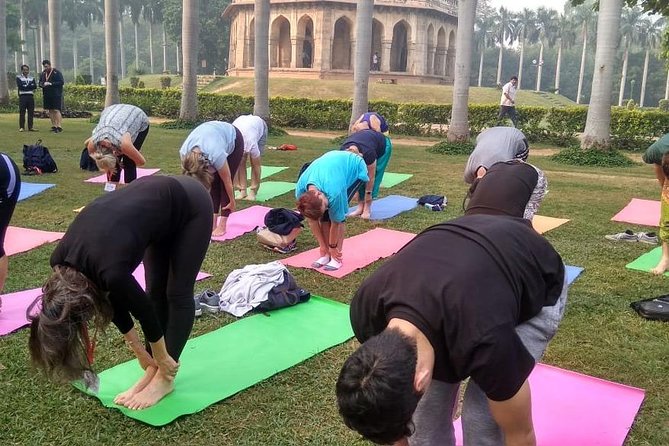 Half Day Yoga Meditation Workshop (6 Hrs) in New Delhi - Six hours at Lodhi Garden, with yoga explained from the ground up