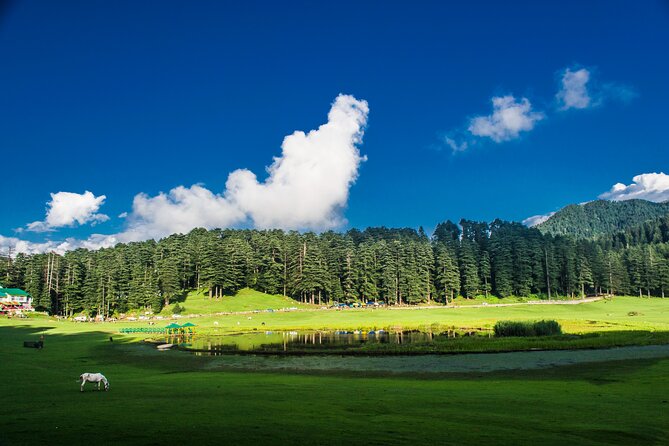 Himachal Tour Package - What the $431.45 price really buys you