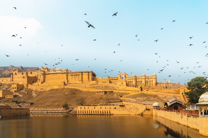 Jaipur Pink City Private Day Trip from Delhi with transfer - Amber Fort: the day’s main attraction