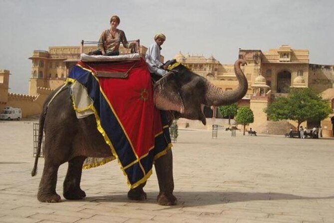Jaipur Tour Pink City by Car From Delhi All Inclusive - What the guide adds to the day