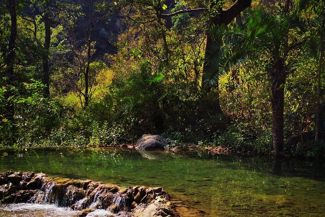 Moderate Himalayan Treks Near Rishikesh From Delhi - Key points to know
