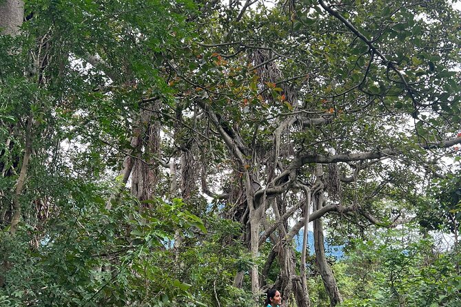 Moderate Himalayan Treks Near Rishikesh From Delhi - What could disappoint you