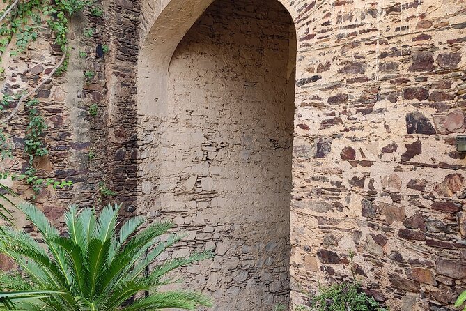Neemrana Fort visit with Lunch From Delhi - Walking through Neemrana village