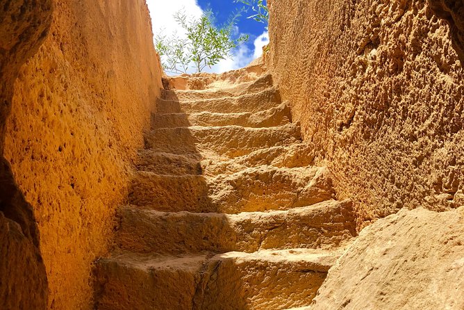 Old & New Delhi City Tour-Half Or Full Day with Options Available - Agrasen Ki Baoli and India Gate