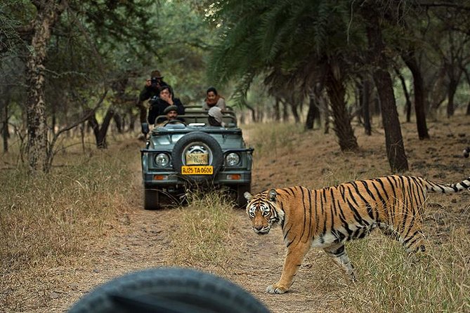 Private 5-Day Ranthambhore Tiger Tour from Delhi including the Taj Mahal, Agra and Jaipur - The Taj Mahal before breakfast