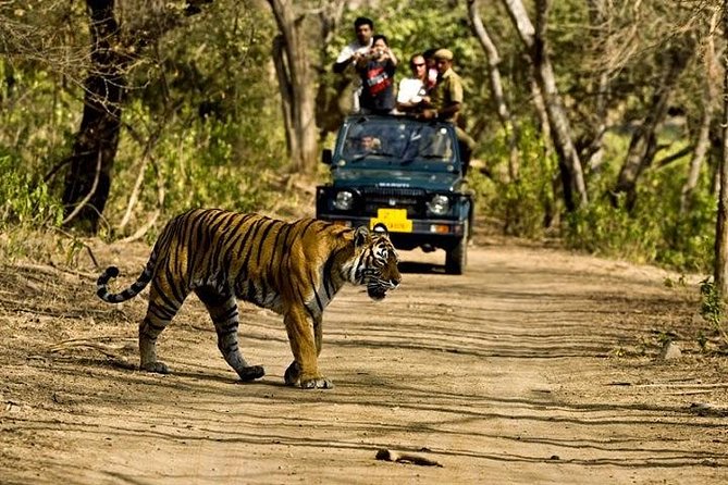 Private 5-Day Ranthambhore Tiger Tour from Delhi including the Taj Mahal, Agra and Jaipur - Delhi’s tombs, towers and grand avenues