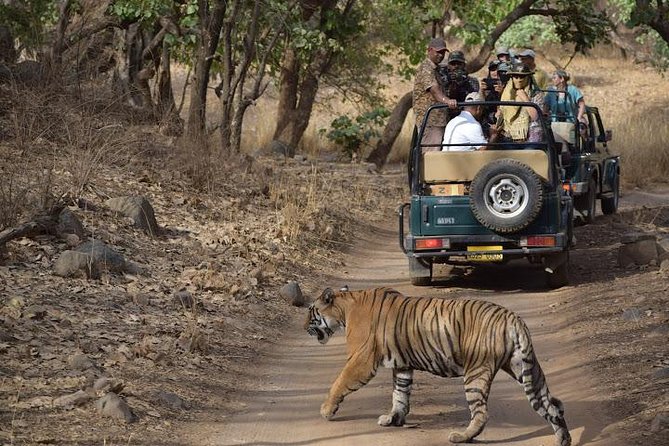 Private 6-Day Ranthambhore Tiger Tour including Delhi, Agra and Jaipur - Agra gives you the tour’s defining morning