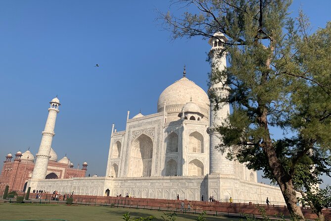 Private Agra Tour - Taj Mahal, Agra Fort & Baby Taj (Daytrip from Delhi) - Price, timing, and the real value