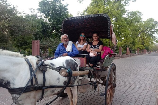 Private Day Tour Tajmahal Agra From Delhi - Reading Agra Fort through Shah Jahan’s story