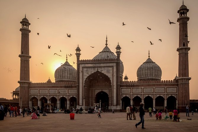 Private Delhi City Tour Including New Delhi and Old Delhi - One day across two very different Delhis