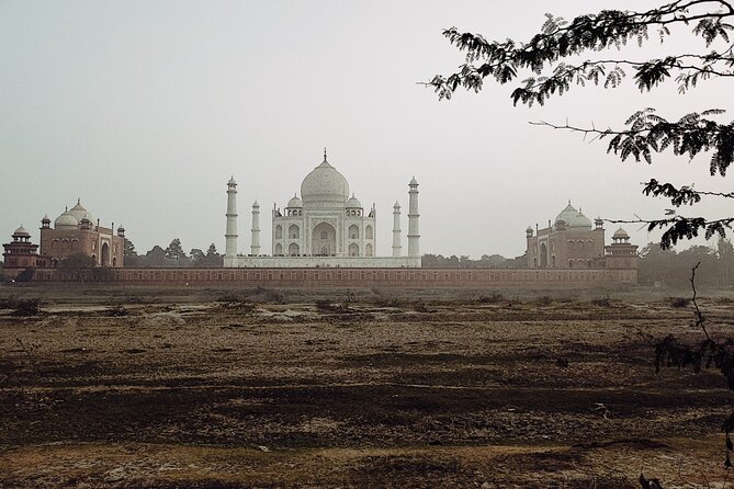 Private Full-Day Taj Mahal and Agra Fort Tour from New Delhi - The five-star buffet lunch option