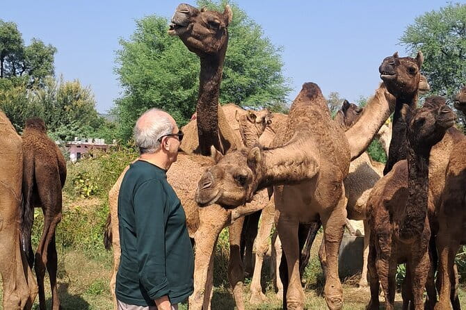 Private Golden Triangle Tour 5 Nights/6 Days - All Inclusive - Day 1: A gentle start at the airport and Bangla Sahib