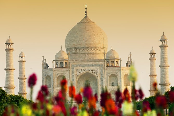 Private Taj Mahal & Agra Fort Tour, Dine with a View - Meeting the Taj Mahal face to face