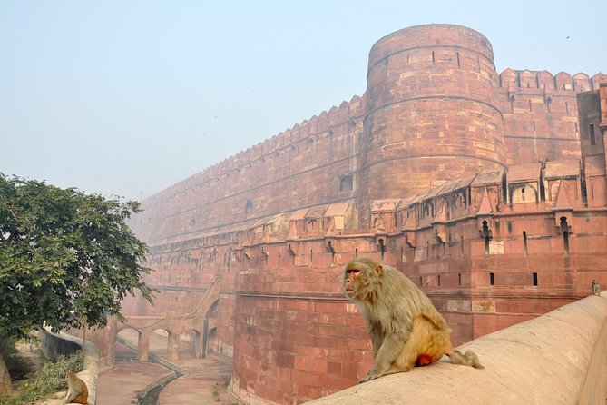 Private Taj Mahal & Agra Tour by Express Train From - Delhi - Is the $8.50 price good value?