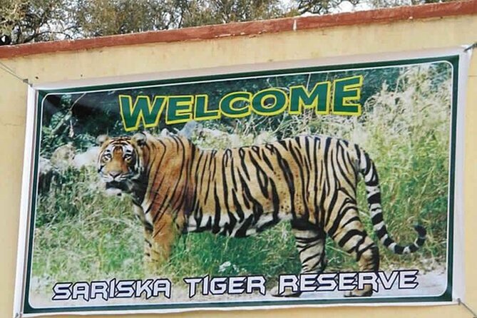 Private Tour from Delhi to Sariska Safari and Jaipur (1N/2D) - The Delhi road journey to Sariska