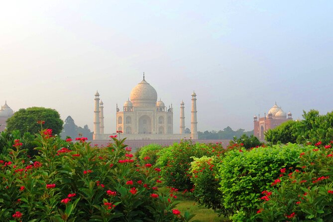 Same Day Taj Mahal, Agra Fort & Baby Taj Tour from Delhi by Car - Who gets the best value