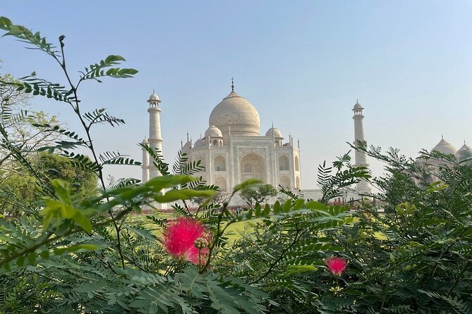 Same Day Tajmahal at Sunrise and SOS wildlife sanctuary tour - Seeing the Taj Mahal in the first light