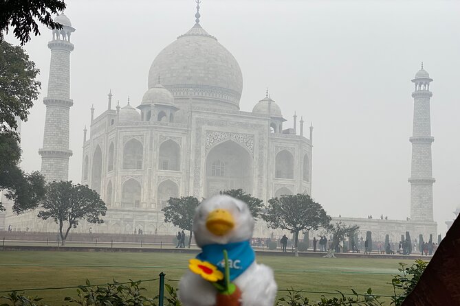 Skip-the-Line Taj Mahal Tour-Hassle-Free Entry & Guide Experience - Starting in New Delhi with hotel pickup