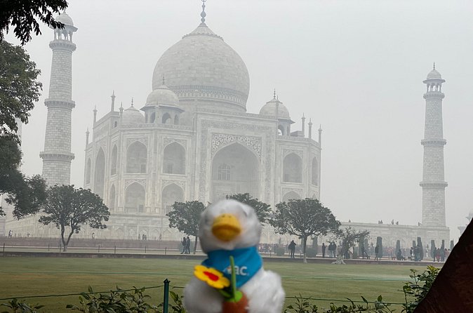 Skip-the-Line Taj Mahal Tour-Hassle-Free Entry & Guide Experience - Returning to Delhi by express train