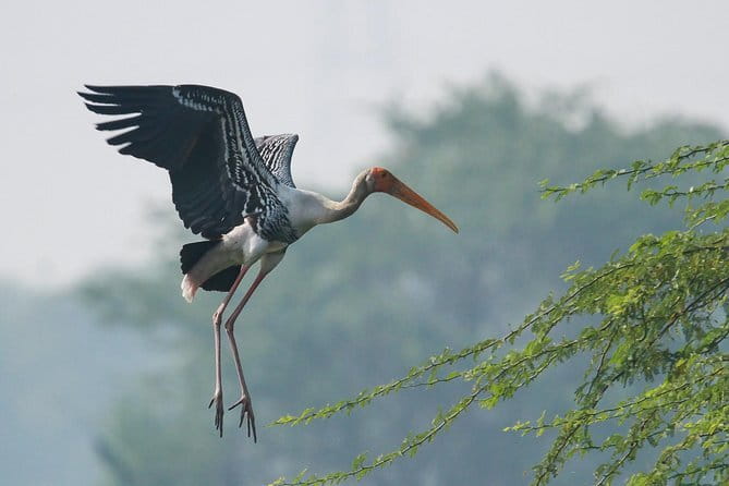 Sultanpur Bird Sanctuary Tour Near Delhi - Leaving Delhi at 6:30 am