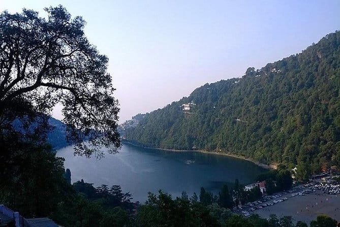 Sultanpur Bird Sanctuary Tour Near Delhi - What you may see, and why weather matters