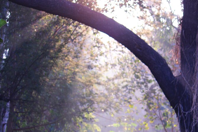 Sunder Nursery Delhi's Heritage Garden Walk Tour - Walking through the 90-acre heritage garden
