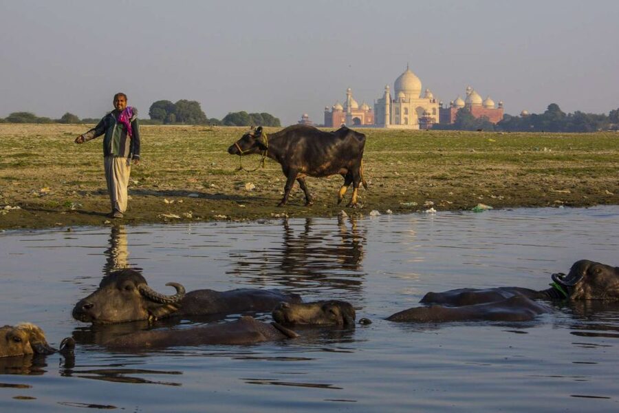 Taj Mahal, Agra Fort Day Tour with Transfers - Entering the Taj Mahal around 10:00 AM