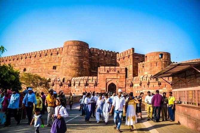 Taj Mahal, Agra Fort & Elephant Rescue Sanctuary Private Day Trip - Wildlife SOS changes the mood of the day