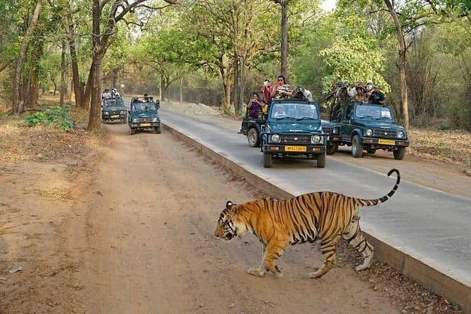 Taj Mahal & Agra Private Day Tour from New Delhi by Car with Meal - Returning to Delhi in your own car
