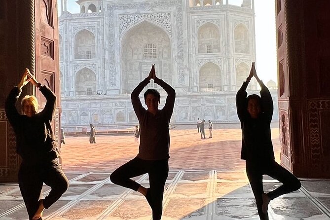 Taj Mahal skip the line luxury tour with guide - Who should book this early morning tour?